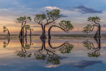 13 breathtaking photos from the International Landscape Photographer of the Year