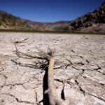 2024 set to be hottest year on record