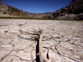 2024 set to be hottest year on record