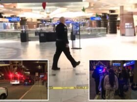 3 shot and 1 stabbed during Christmas fight at Phoenix airport