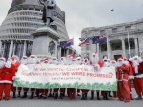 'All we want for Christmas is the hospital'