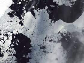 The former Conger ice shelf is shown as a white mass on Earth