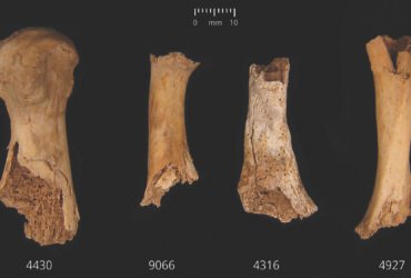 Bronze Age butchery and cannibalism unearthed in England