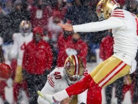 Buffalo Bills Fan Tries To Melt 49ers Field Goal Attempt With A Bold, Snowy Move