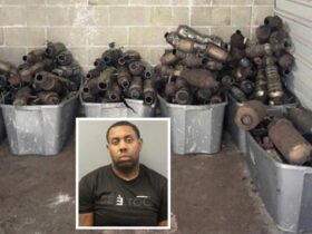 Catalytic converter theft 'leader' gets 3 years in prison