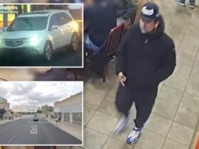 Crazy driver punches, then robs New York traffic enforcement officer in broad daylight attack: Police