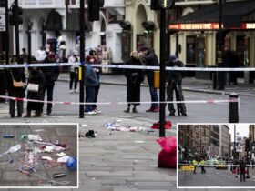 Driver jumps over sidewalk and crashes into crowd during Christmas horror in London