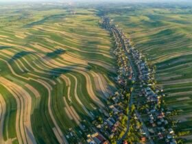 an aerial view of very long, narrow, undulating fields in rural Poland