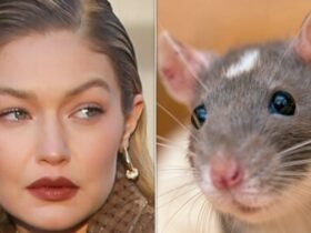 Gigi Hadid Says NYC Apartment Was Plagued With Rat Problem