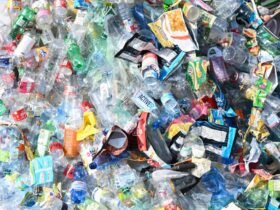 Global Plastic Pollution Treaty Talks Fail