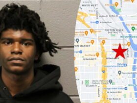 Man gets probation for having guns and drugs in West Loop tent city