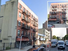 Masked thugs beat New York man and take 14 designer watches after sneaking in via fire escape while he slept: police