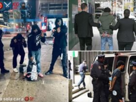 New York police demand crackdown after revelation of 'criminal' migrant population approaching 60,000