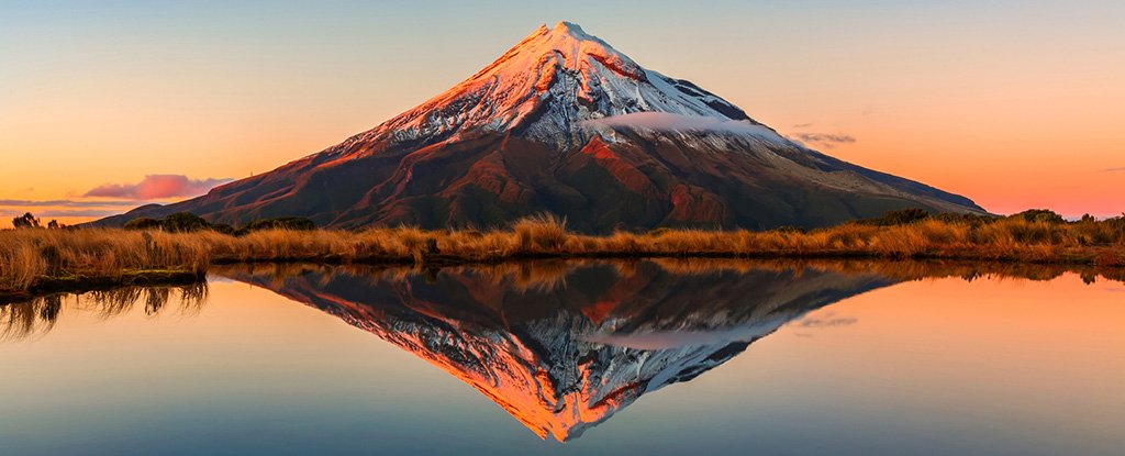 Scientists Urge Ban on 'Mirror Life' Before It Endangers Global Health : ScienceAlert