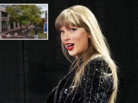 Taylor Swift fan pleads guilty to embezzlement to buy concert tickets