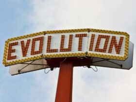 BRDEHN Evolution sign on a theme park ride.