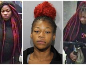 The woman was part of a five-man gang that robbed Red Line passengers, prosecutors allege