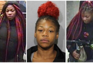 The woman was part of a five-man gang that robbed Red Line passengers, prosecutors allege