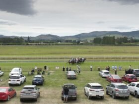 Trotting club keen to make Wingatui home