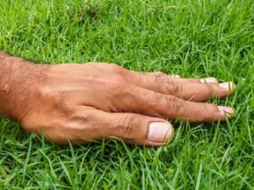 What happens to our bodies when we touch grass?