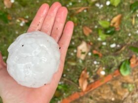 Why scientists scanned giant hailstones in a dentist's office