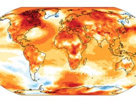 A global map of Earth