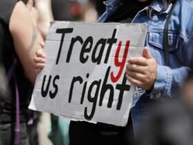 80 hours of submissions to be heard on Treaty Principles Bill