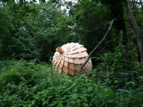 a large wooden acorn rests in a forest