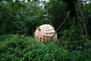 a large wooden acorn rests in a forest