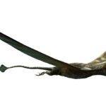 drawing of pterosaur species