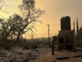 A running list of resources to help artists affected by LA Fires