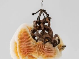 a ceramic sculpture with honeycomb swelling around it particularly toward the left side