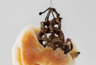 a ceramic sculpture with honeycomb swelling around it particularly toward the left side