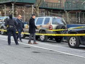 Boy, 14, fatally stabbed outside New York housing complex: NYPD