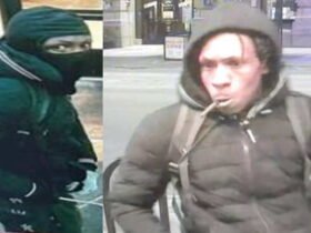 Burglar broke in 6 companies in the city center on Monday, says the Chicago police