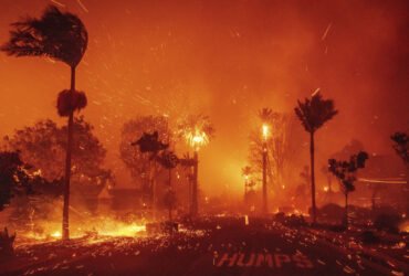 Tress and buildings along a street are on fire.