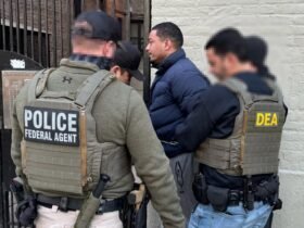 DEMS scream 'racism', but NYC -Mindilities cheer Trump's ice raids