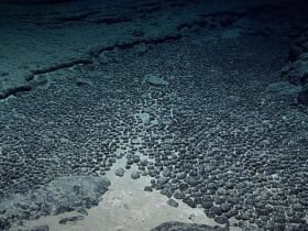 Dark oxygen: New deep sea expedition to explore mysterious discovery