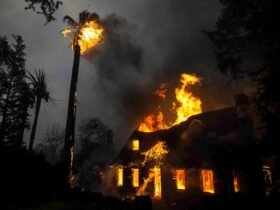 Destructive Los Angeles Fires Explained in Photos
