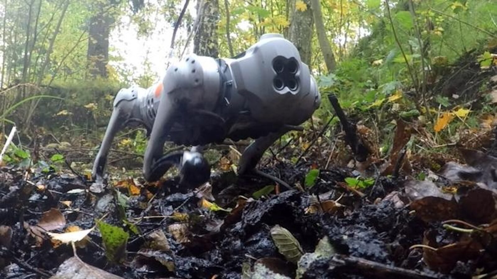 Dog robots can traverse the mud using moose-inspired hooves