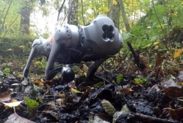 Dog robots can traverse the mud using moose-inspired hooves