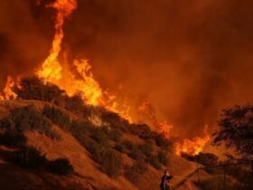 Fires Burn Los Angeles Schools And Destroy Outdoor Education Sanctuaries