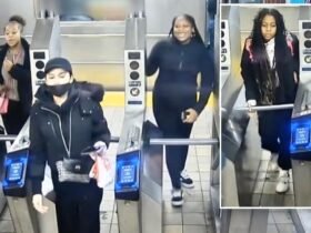 Four teenage girls arrested in violent robbery in New York of woman, 71, on her way to church on New Year's Day: police