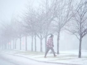 How cold, snowy will it get during weekend arctic blast?