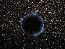 A black hole surrounded by stars