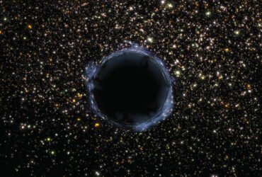 A black hole surrounded by stars