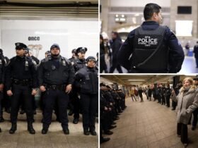 Hundreds of NYC agents are moved underground: NYPD Documents