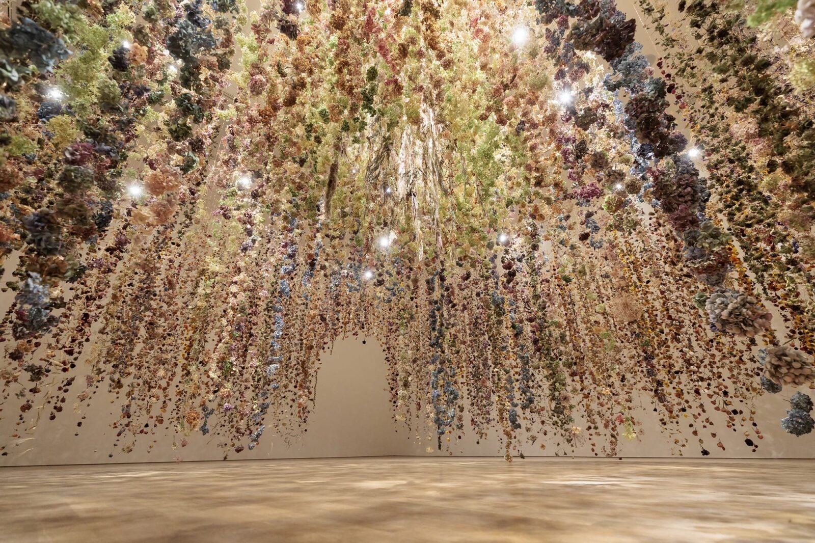 a suspended installation of dried flowers