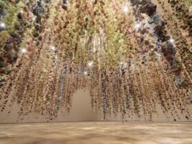 a suspended installation of dried flowers