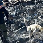 Man Who Lost Home In Fire Elated To Be Reunited With Dog